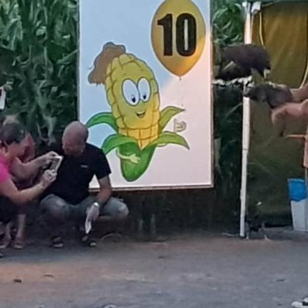 Nagyobb kép megtekintése