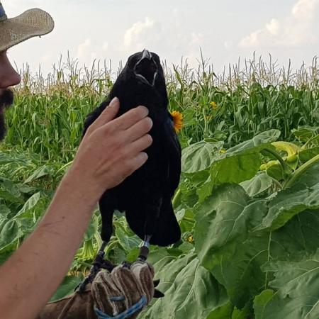 Nagyobb kép megtekintése
