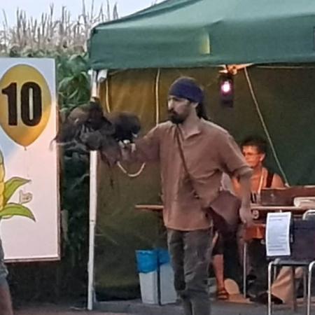 Nagyobb kép megtekintése