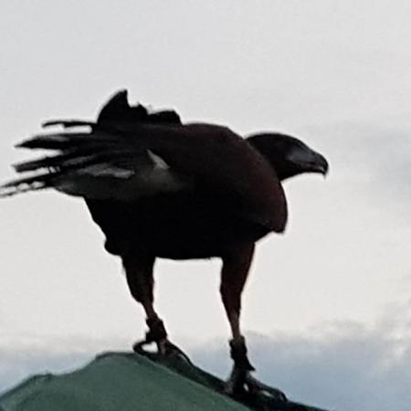 Nagyobb kép megtekintése