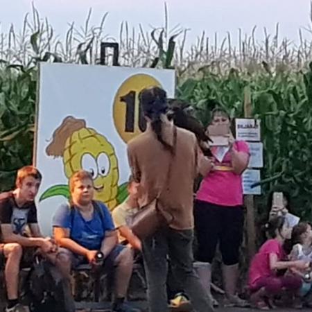 Nagyobb kép megtekintése