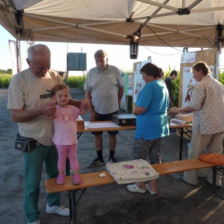 Nagyobb kép megtekintése