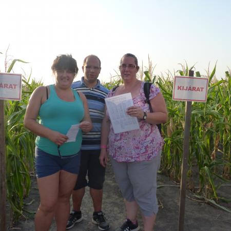 Nagyobb kép megtekintése