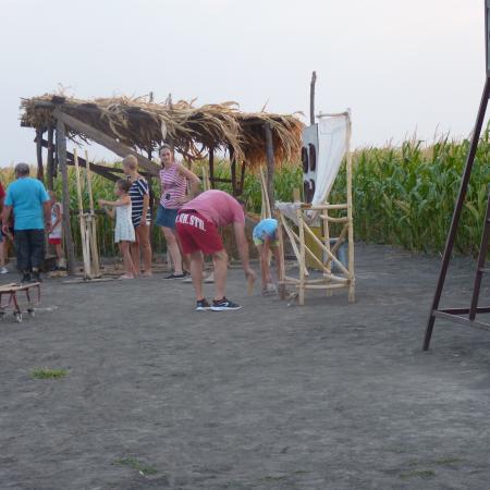 Nagyobb kép megtekintése