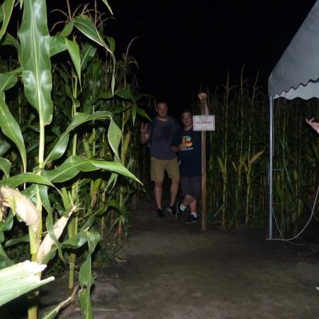 Nagyobb kép megtekintése